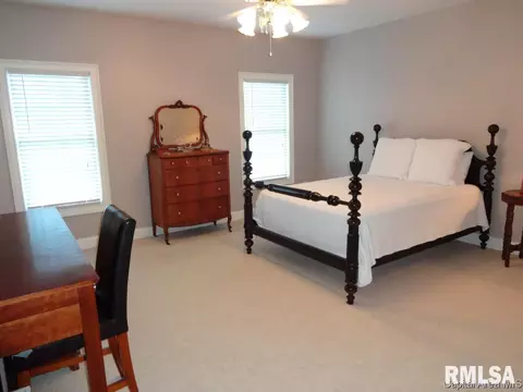 2005 Old Ivy Dr, Springfield, IL 62711 photo 20