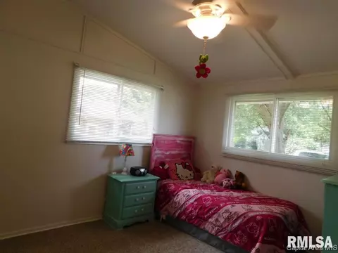 710 E Locust St, Chatham, IL 62629 photo 12