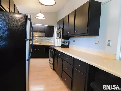 710 E Locust St, Chatham, IL 62629 photo 5