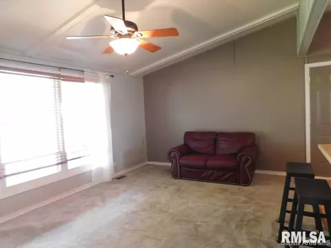 710 E Locust St, Chatham, IL 62629 photo 4