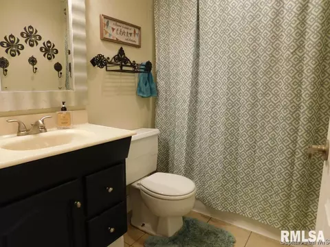 710 E Locust St, Chatham, IL 62629 photo 10