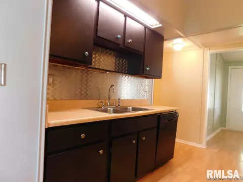 710 E Locust St, Chatham, IL 62629 photo 8