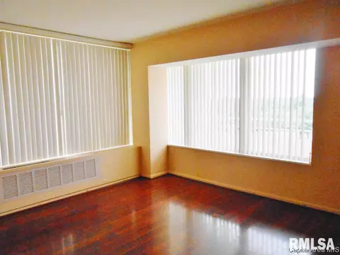 718 S 7th #807, Springfield, IL 62703 photo 3