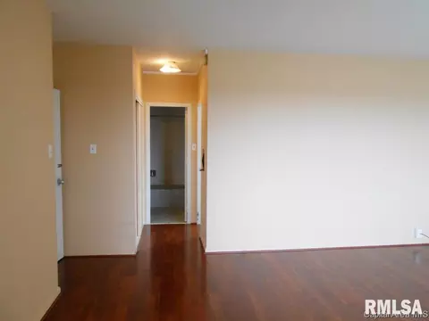 718 S 7th #807, Springfield, IL 62703 photo 6
