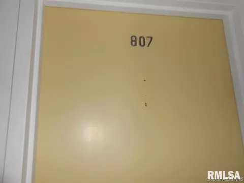 718 S 7th #807, Springfield, IL 62703 photo 1