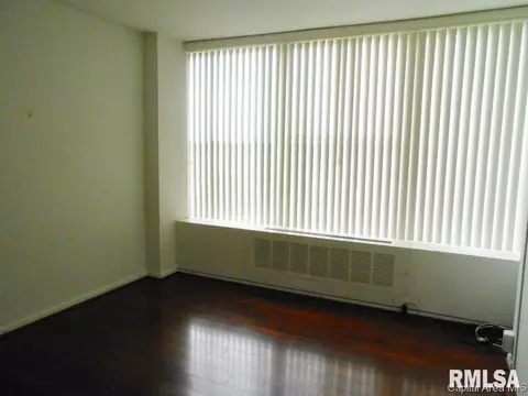 718 S 7th #807, Springfield, IL 62703 photo 7