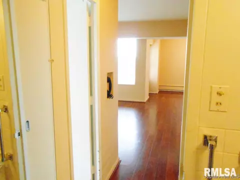 718 S 7th #807, Springfield, IL 62703 photo 11