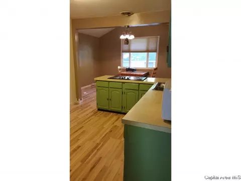 3001 S Thayer Ave, Springfield, IL 62704 photo 15