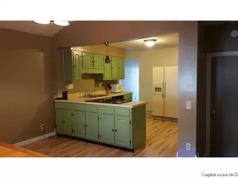 3001 S Thayer Ave, Springfield, IL 62704 photo 9