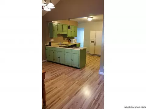 3001 S Thayer Ave, Springfield, IL 62704 photo 4