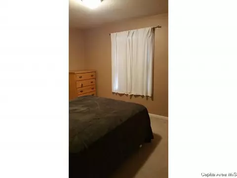 3001 S Thayer Ave, Springfield, IL 62704 photo 20