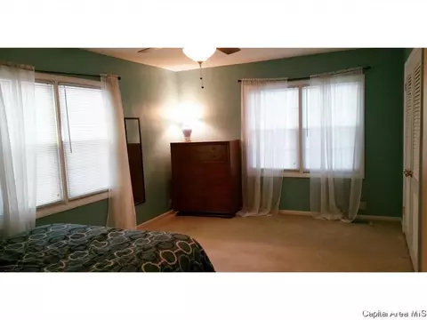 3001 S Thayer Ave, Springfield, IL 62704 photo 6