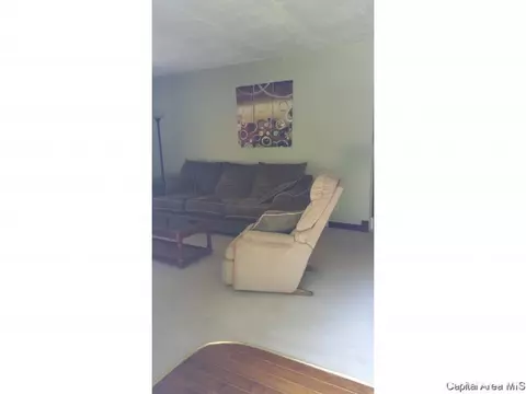 3001 S Thayer Ave, Springfield, IL 62704 photo 8