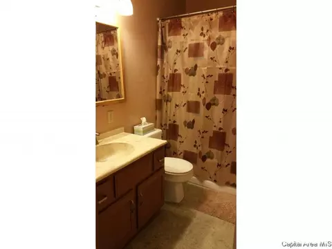 3001 S Thayer Ave, Springfield, IL 62704 photo 3