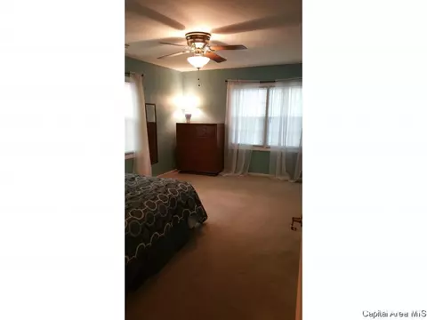 3001 S Thayer Ave, Springfield, IL 62704 photo 13