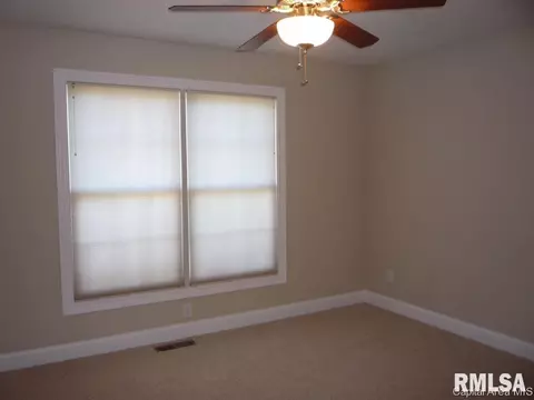 3204 Mackinaw Ln, Springfield, IL 62711 photo 17