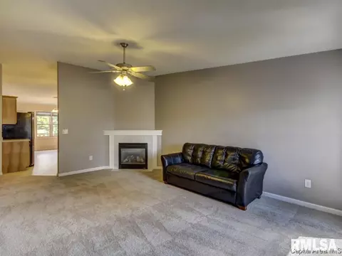 1700 Tern Pl, Springfield, IL 62711 photo 4