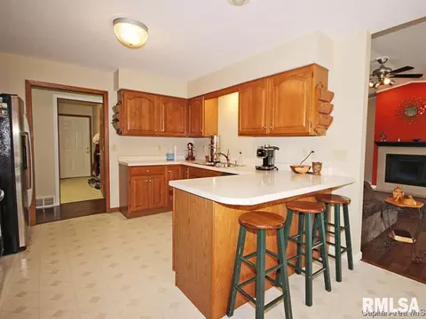 1117 Bridle Path Ln, Springfield, IL 62712 photo 7