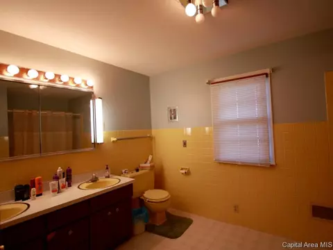 313 Collier, Springfield, IL 62704 photo 14