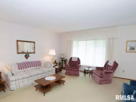 658 S Koke Ml, Springfield, IL 62711 photo 14