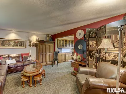 29 Lucerne Dr, Springfield, IL 62707 photo 31
