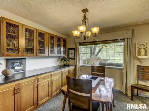 29 Lucerne Dr, Springfield, IL 62707 photo 17