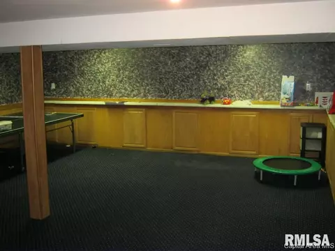 17 Stelte Ln, Springfield, IL 62702 photo 13
