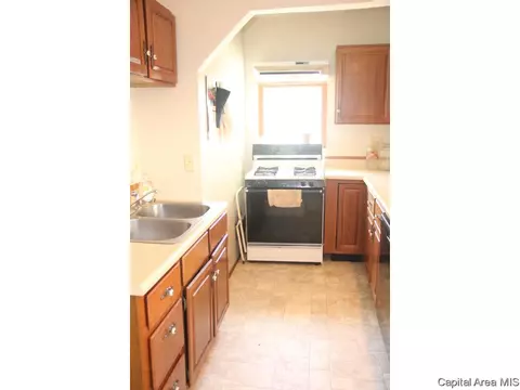 811 S Douglas, Springfield, IL 62704 photo 17