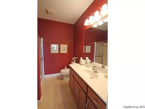 804 Colorado Ct, Springfield, IL 62711 photo 13