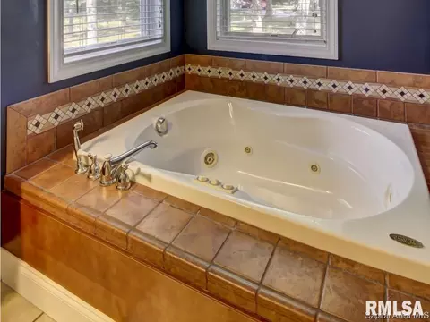830 Brookview Rd, Dawson, IL 62520 photo 24
