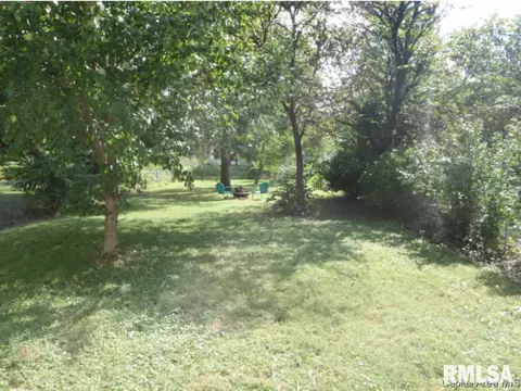 1324 W Governor St, Springfield, IL 62704 photo 30