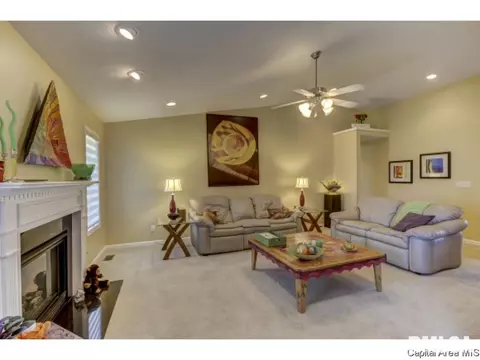 2901 Ladera Dr, Springfield, IL 62711 photo 13