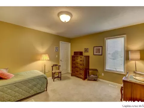 2901 Ladera Dr, Springfield, IL 62711 photo 17