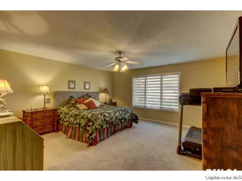 2901 Ladera Dr, Springfield, IL 62711 photo 22