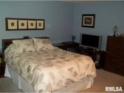 323 Blane, Dawson, IL 62520 photo 28