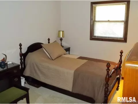323 Blane, Dawson, IL 62520 photo 30