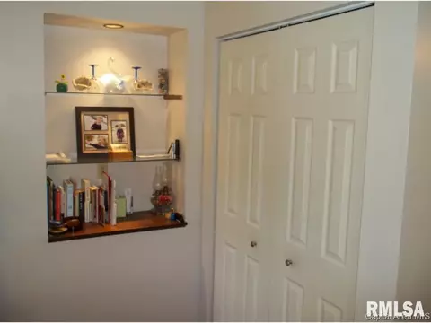 323 Blane, Dawson, IL 62520 photo 21