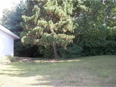 323 Blane, Dawson, IL 62520 photo 15