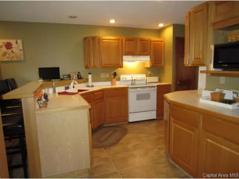 1620 Thornhill Dr, Springfield, IL 62711 photo 5