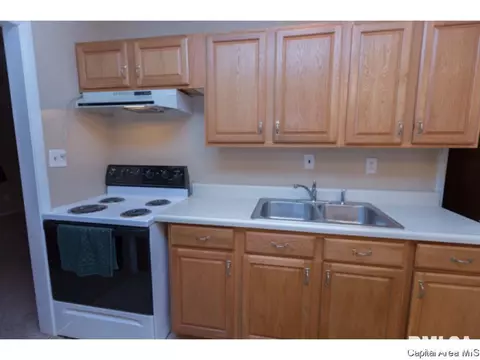 3217 Saxony Rd, Springfield, IL 62703 photo 21