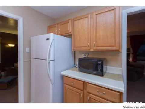 3217 Saxony Rd, Springfield, IL 62703 photo 20