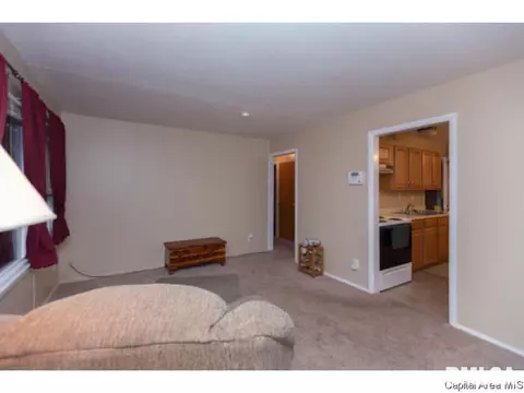 3217 Saxony Rd, Springfield, IL 62703 photo 10