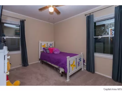 3217 Saxony Rd, Springfield, IL 62703 photo 15