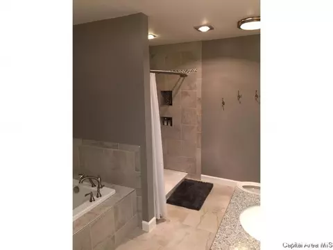 1 Forest Green Dr, Springfield, IL 62711 photo 22