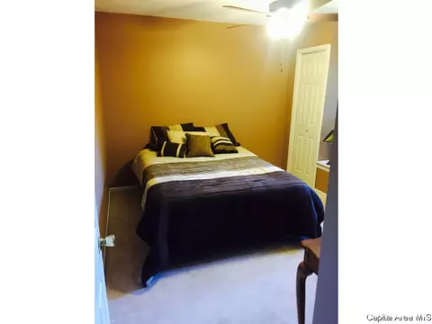 104 Exeter Ct, Springfield, IL 62704 photo 14