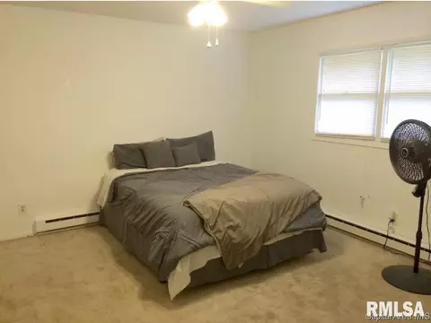 4129-4131 Pickfair Rd, Springfield, IL 62703 photo 10