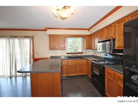 844 Hackberry Rd, Chatham, IL 62629 photo 8