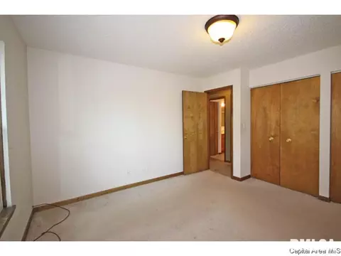 844 Hackberry Rd, Chatham, IL 62629 photo 14
