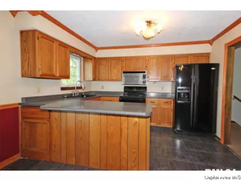 844 Hackberry Rd, Chatham, IL 62629 photo 10