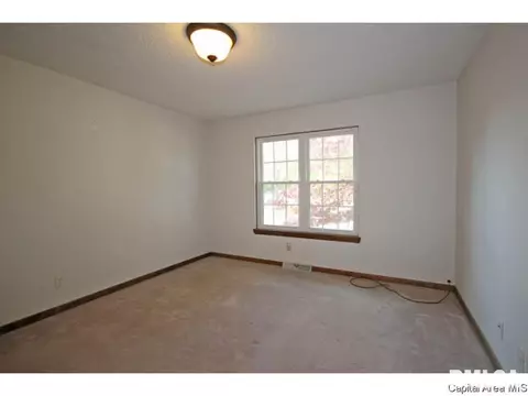 844 Hackberry Rd, Chatham, IL 62629 photo 13